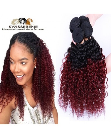 Closure cheveux brésiliens dentelle . 100 % Cheveux Humains vierge vague de fermeture dentelle 